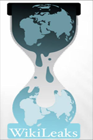 Defence completes WikiLeaks investigation