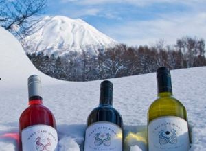 Wine market on the rebound in Japan