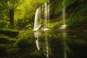 Photo tip of the week: Take control of landscape lighting