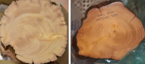 Wood Revisited