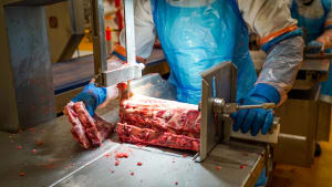 Forums cut to the heart of meat processing