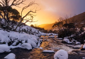 Photo tip of the week: Capturing winter in the Snowy mountains