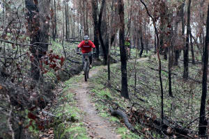 Mountain Biking in Yackandandah