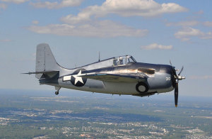 Yagen Warbirds up for Sale