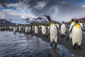 Richard I&rsquo;Anson releases Antarctic photography book Way Down South