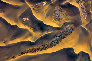 Behind the lens: A golden glow
