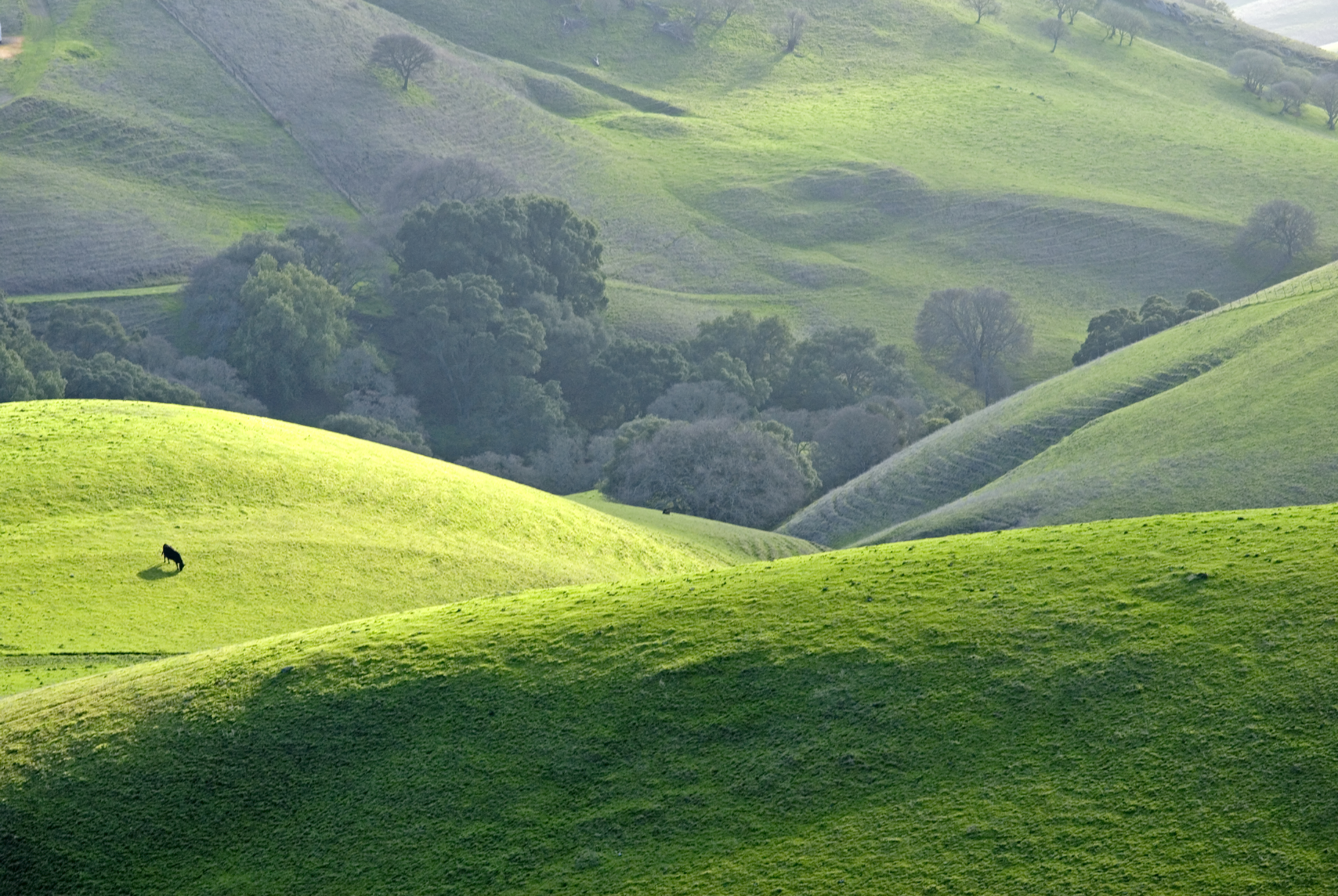 a2 ventures into new pastures