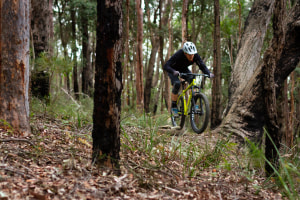 MTBA aiming to raise $50,000 for bushfire relief
