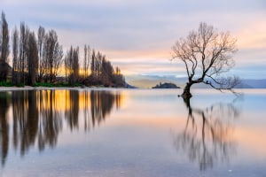 5 tips for stepping up your landscape photography (Part two)