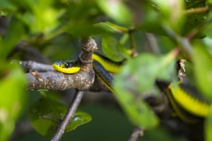 Win a photography trip to Cairns with World Photo Adventures!