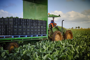 Pact to sell half of crate pooling business for $160m