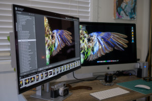 Review: ASUS ProArt Display OLED PA32UCDM 32" monitor
