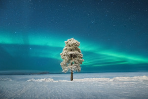 The winners of the 2020 Astronomy Photographer of the Year Awards