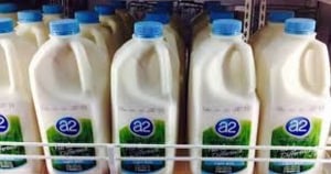 a2 Milk hoses down takeover talk
