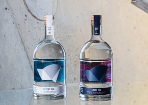 Twin gin act in custom packaging for Sydney icon