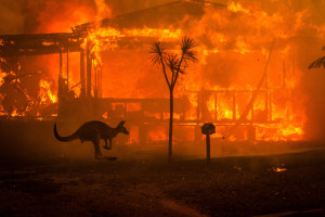 The devastation of Australia&rsquo;s fires, in one frame