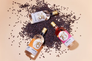 Mighty Craft finalises acquisitions by UPG