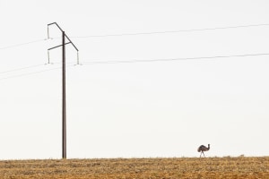 Your Best Shot October '26 'Minimalism' - The winners!