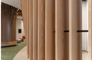 US timber exports to Australia at record levels in 2024