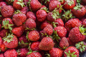 Strawberry tampering spikes protocol revision