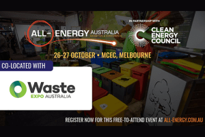 Experts converge on All-Energy 