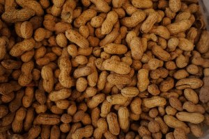 Food allergen portal gets a refresh