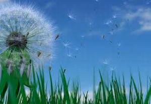 Allergy free air conditioning