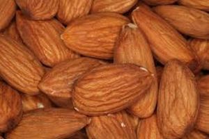 Select Harvests ploughs $20.5m into almond plant