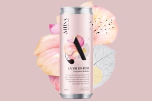 Boxer & Co sophisticates style for Altina non-alco