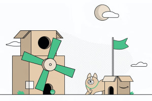 Cat condos and more made from Amazon boxes