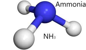 Researchers create green ammonia 