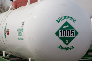 Ammonia set for rapid growth in Australia
