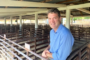 Trade restrictions reshaping global beef flows