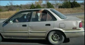 Animals in cars - not always a good idea