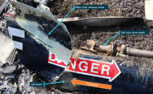 Long Ranger broke up after Birdstrike: ATSB