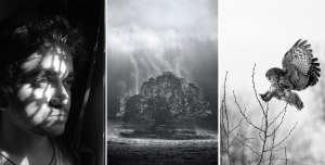 The Mono Awards 2024 presented by Synology - The People's choice winners!