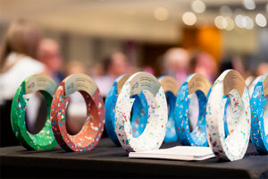 Who's in the running for an APCO award?