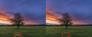 Should you watermark your images?