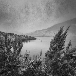 AIPP Australian Professional Photographer of the Year announced