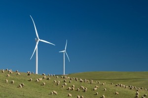 Stewardship scheme for renewables