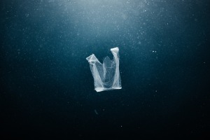 Sony Alpha Awards winners announced
