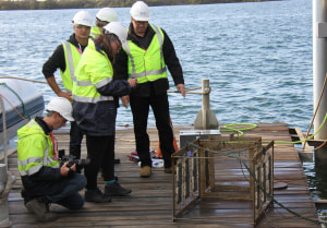 SA researchers hope to eliminate biofouling