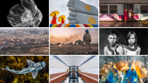 Australasia&rsquo;s Top Emerging Photographers 2025: Winners and runners-up announced