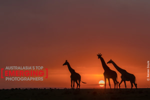 35 Top Tips to Winning Australasia's Top Emerging Photographers 2020 (part 2)