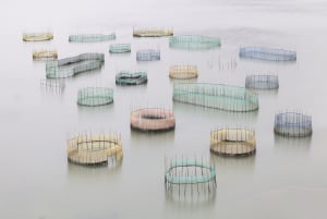 2020 Australasia's Top Emerging Photographers: Travel, Winner