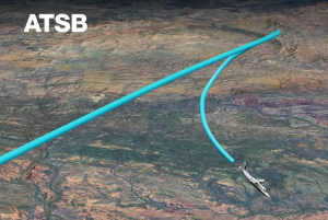 FRIDAY FLYING  VIDEO: ATSB on Twin Commander