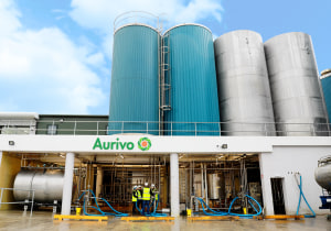 Upgrade doubles milk processing, cuts emissions 