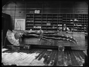 New exhibition reveals 'rogues gallery' of earliest scientific photography
