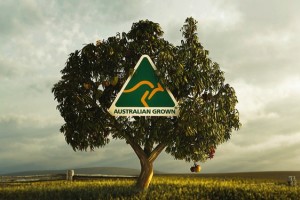 Singaporeans look for the green and gold kangaroo