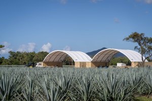Top Shelf International sells farm to free up capital